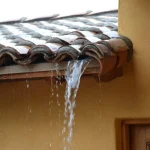 Rainwater Saving Tips for Practical Home Use