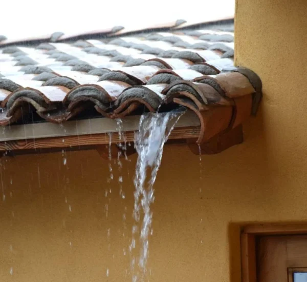 Rainwater Saving Tips for Practical Home Use